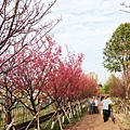 2015.02.22 台中市太平區麗園公園