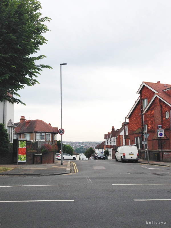 [英國] Devil's Dyke (上)：Dyke Road