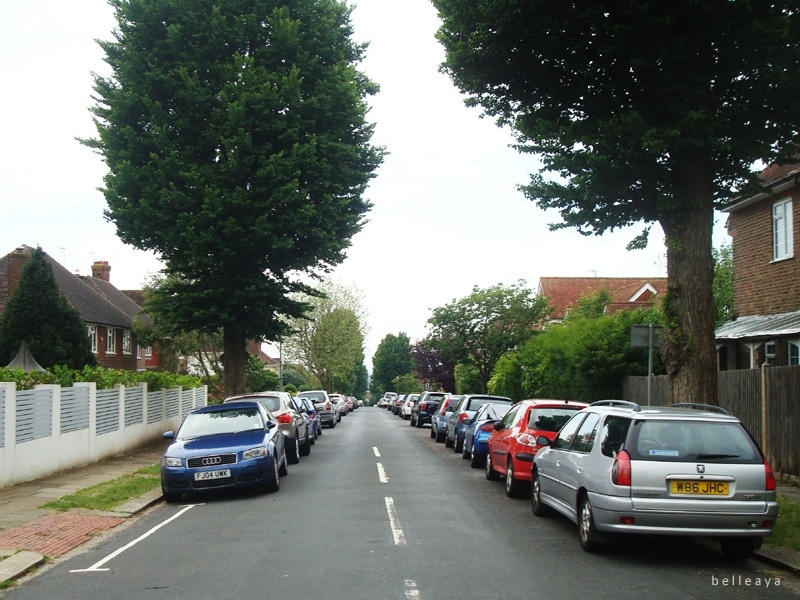 [英國] Devil's Dyke (上)：Dyke Road