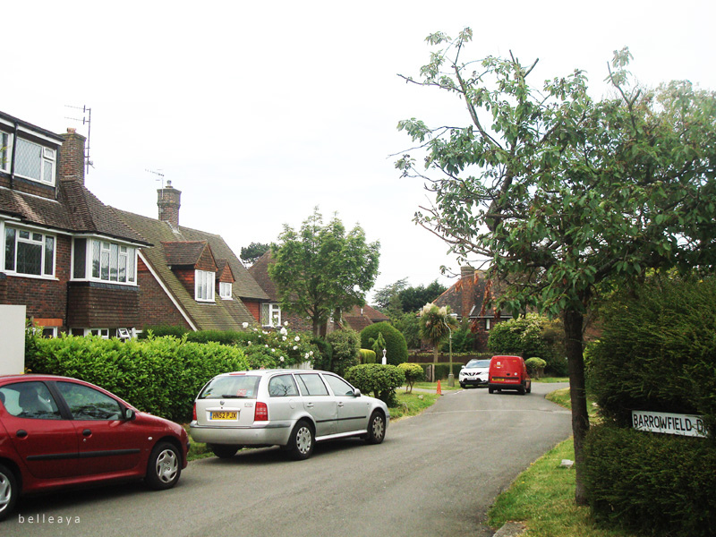 [英國] Devil's Dyke (上)：Dyke Road