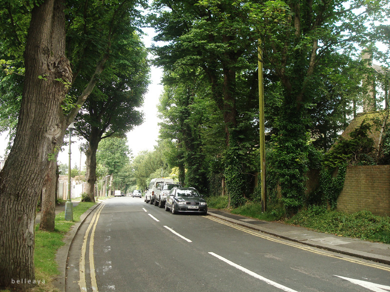 [英國] Devil's Dyke (上)：Dyke Road