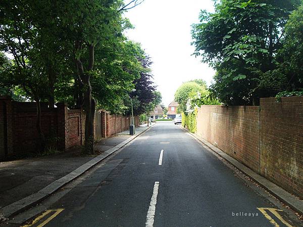 [英國] Devil's Dyke (上)：Dyke Road