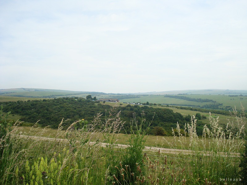 [英國] Devil's Dyke (上)：Devil's Dyke Road