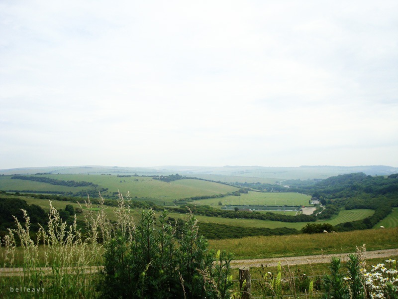 [英國] Devil's Dyke (上)：Devil's Dyke Road