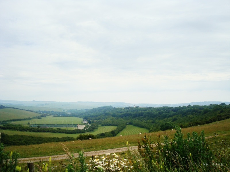 [英國] Devil's Dyke (上)：Devil's Dyke Road