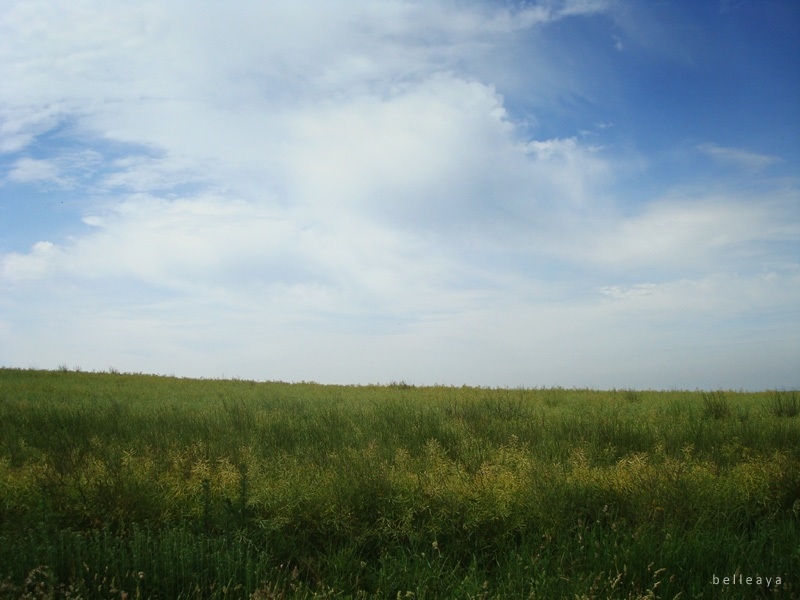 [英國] Devil's Dyke (上)：Devil's Dyke Road