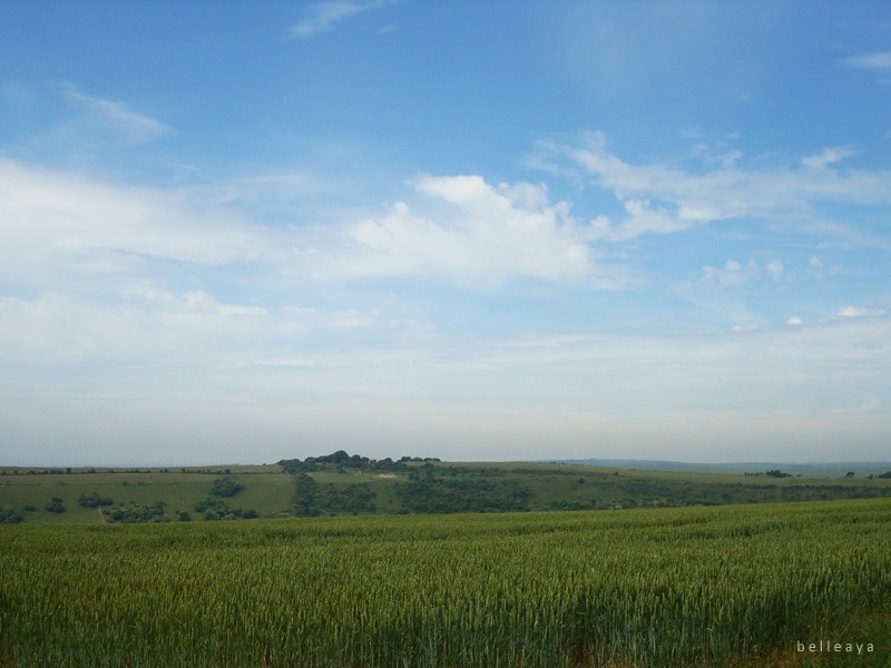 [英國] Devil's Dyke (上)：Devil's Dyke Road