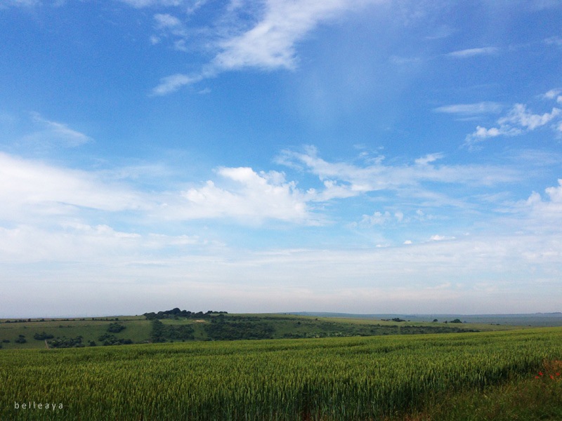 [英國] Devil's Dyke (上)：Devil's Dyke Road