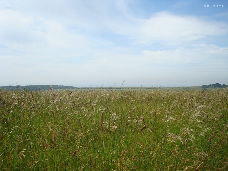 [英國] Devil's Dyke (上)：Devil's Dyke Road