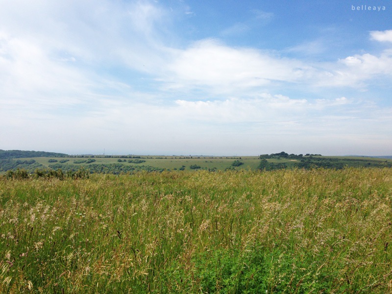 [英國] Devil's Dyke (上)：Devil's Dyke Road