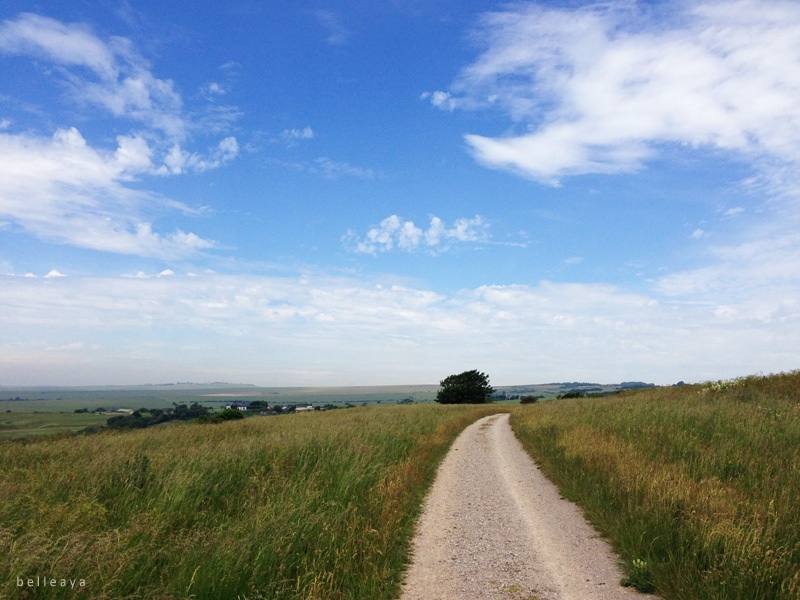 [英國] Devil's Dyke (上)：Devil's Dyke Road