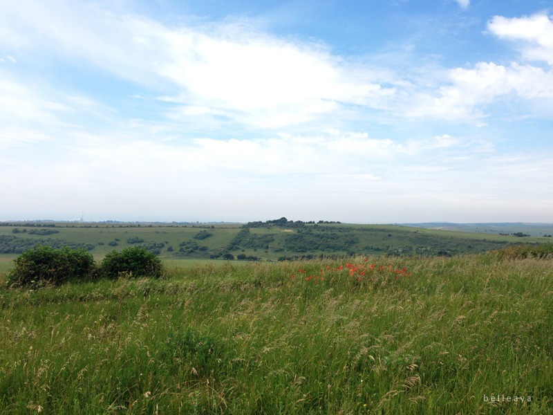 [英國] Devil's Dyke (上)：Devil's Dyke Road