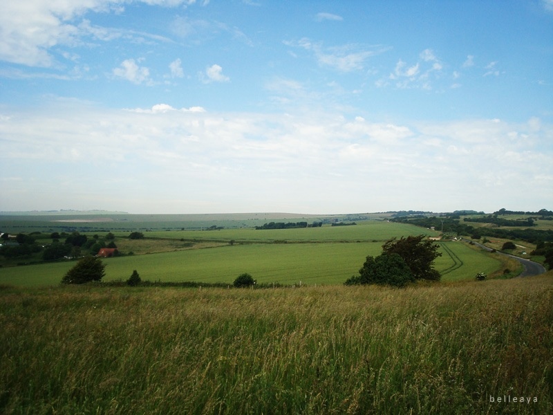 [英國] Devil's Dyke (上)：Devil's Dyke Road