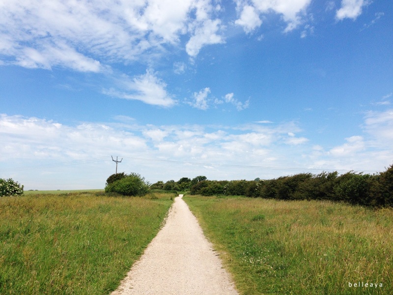 [英國] Devil's Dyke (上)：Devil's Dyke Road