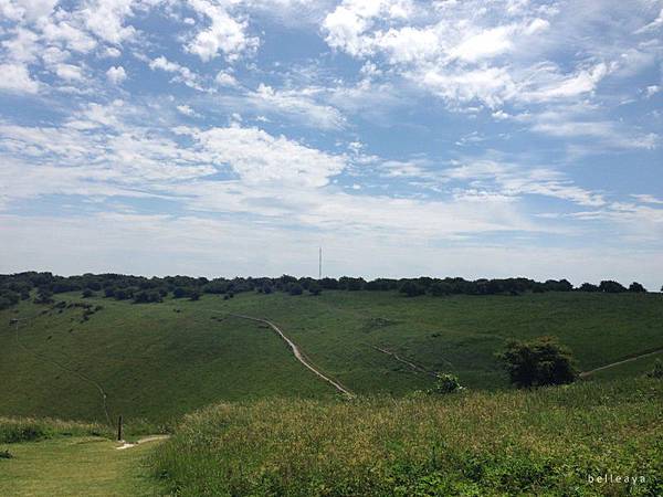 [英國] Devil's Dyke (下)