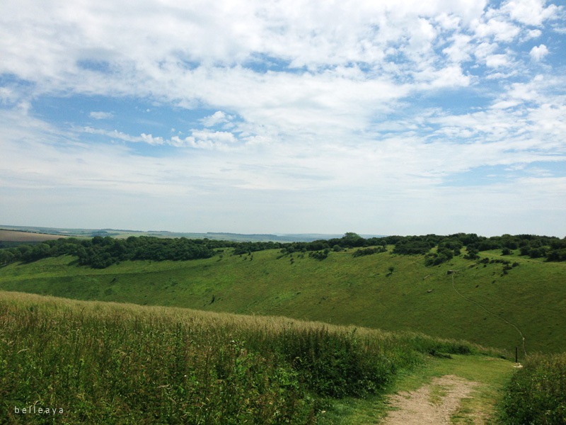 [英國] Devil's Dyke (下)