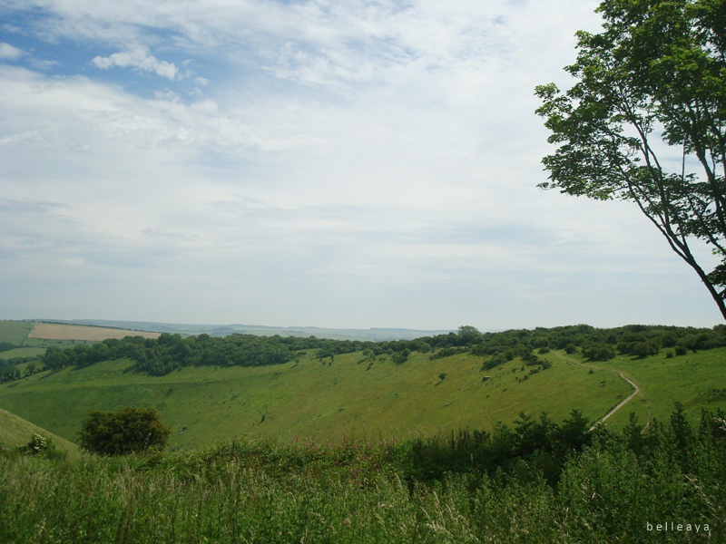 [英國] Devil's Dyke (下)