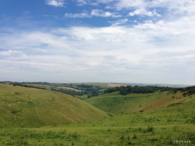 [英國] Devil's Dyke (下)