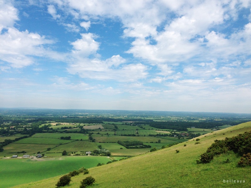 [英國] Devil's Dyke (下)