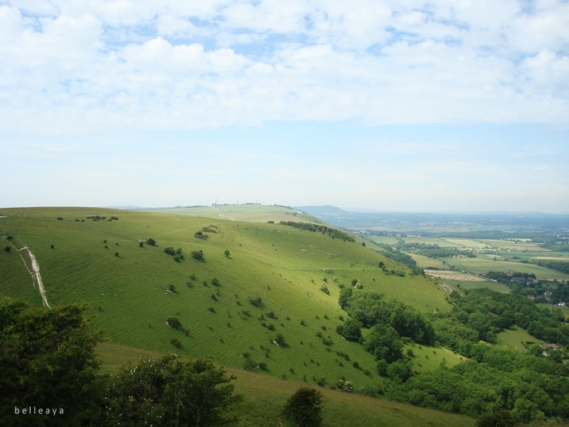 [英國] Devil's Dyke (下)