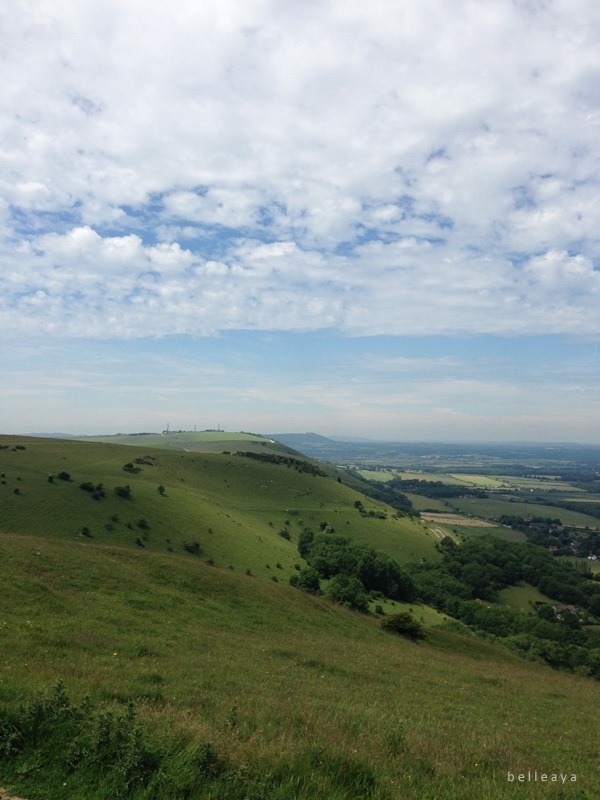 [英國] Devil's Dyke (下)