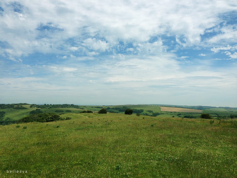 [英國] Devil's Dyke (下)