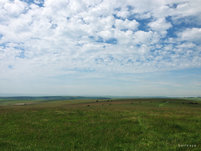 [英國] Devil's Dyke (下)