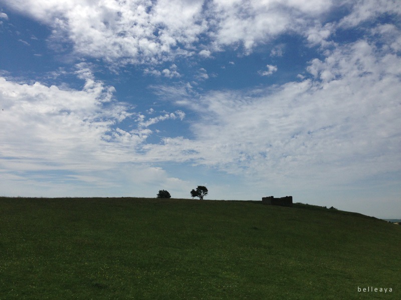 [英國] Devil's Dyke (下)