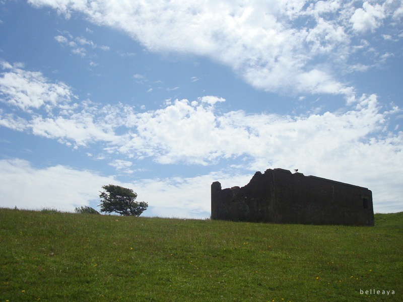 [英國] Devil's Dyke (下)