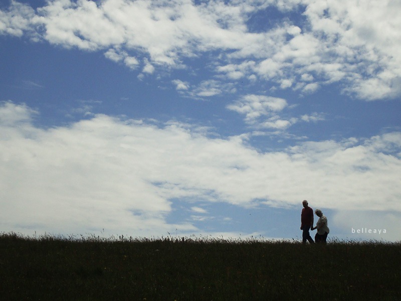 [英國] Devil's Dyke (下)