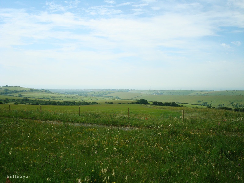 [英國] Devil's Dyke (下)