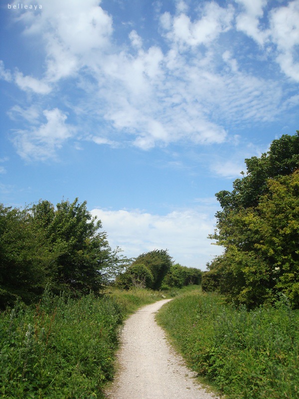 [英國] Devil's Dyke (下)