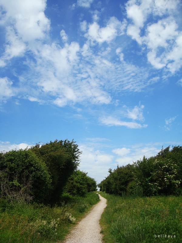 [英國] Devil's Dyke (下)