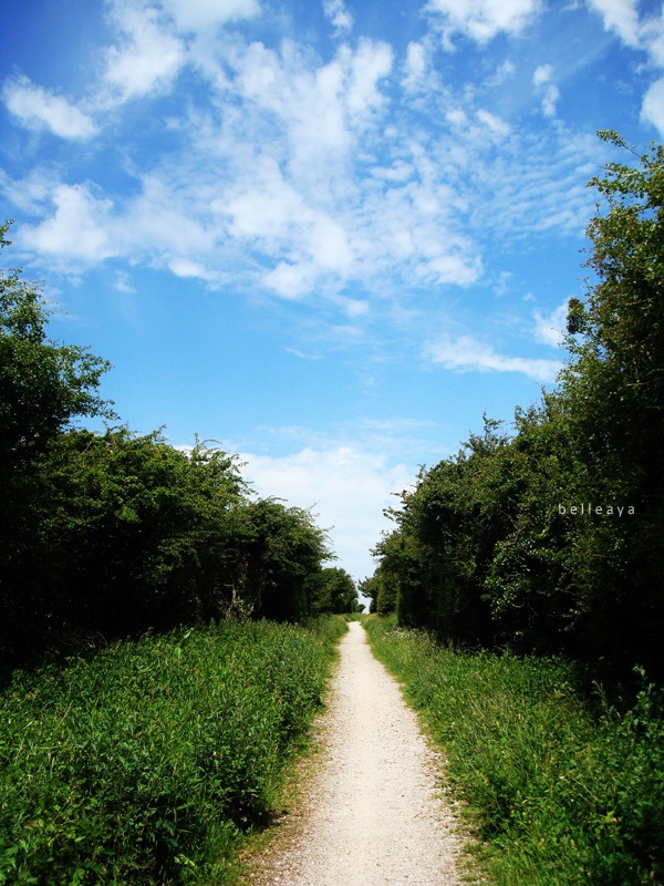 [英國] Devil's Dyke (下)