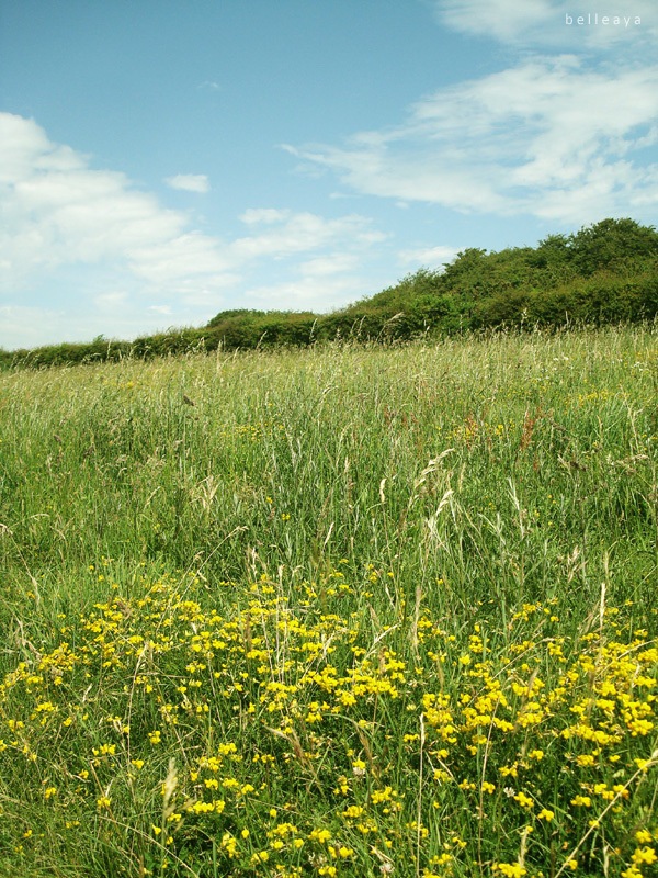 [英國] Devil's Dyke (下)