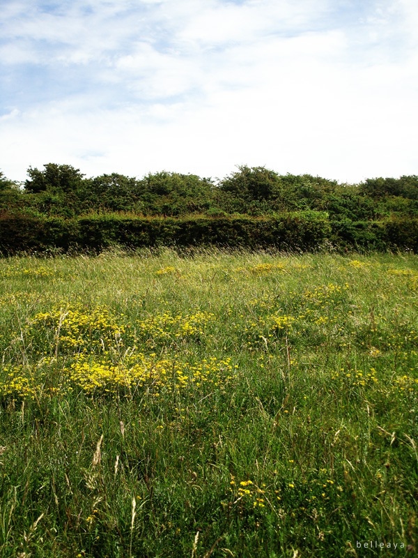 [英國] Devil's Dyke (下)