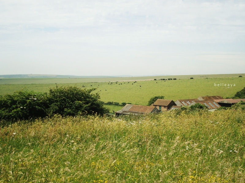 [英國] Devil's Dyke (下)