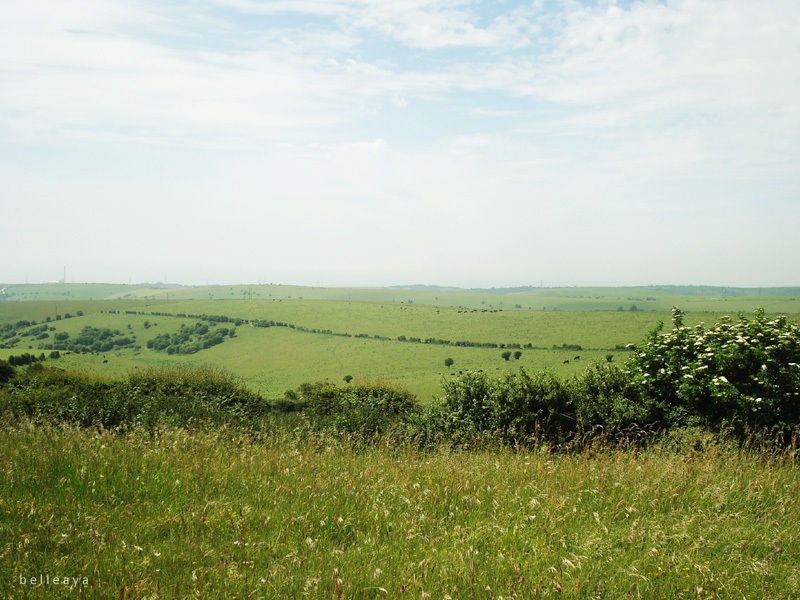 [英國] Devil's Dyke (下)