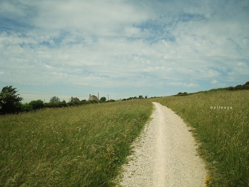 [英國] Devil's Dyke (下)