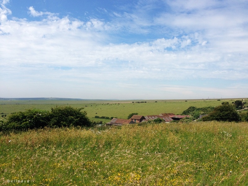 [英國] Devil's Dyke (下)