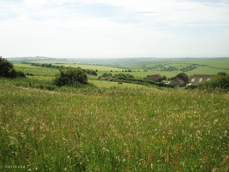 [英國] Devil's Dyke (下)