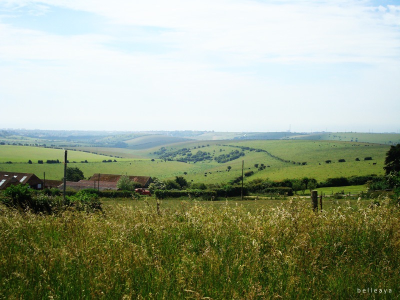 [英國] Devil's Dyke (下)