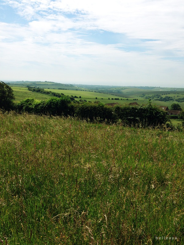 [英國] Devil's Dyke (下)