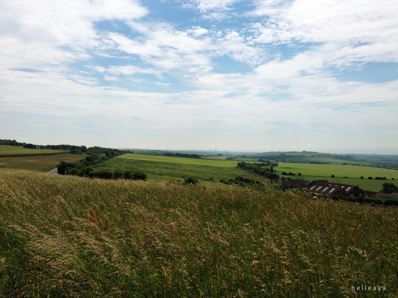 [英國] Devil's Dyke (下)