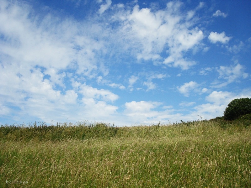 [英國] Devil's Dyke (下)