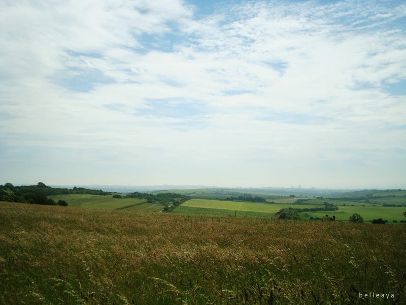 [英國] Devil's Dyke (下)