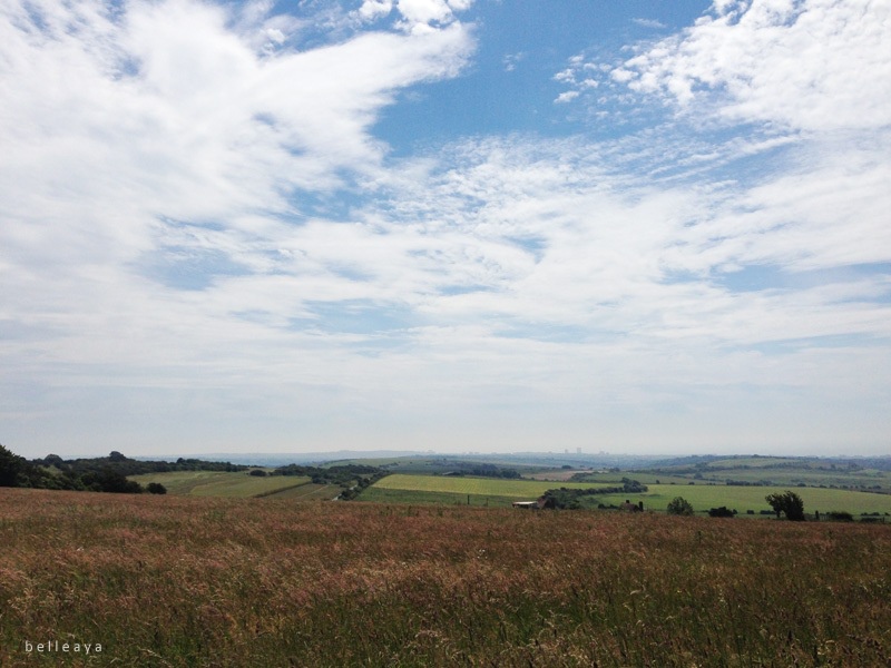 [英國] Devil's Dyke (下)