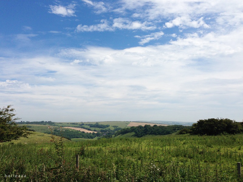 [英國] Devil's Dyke (下)