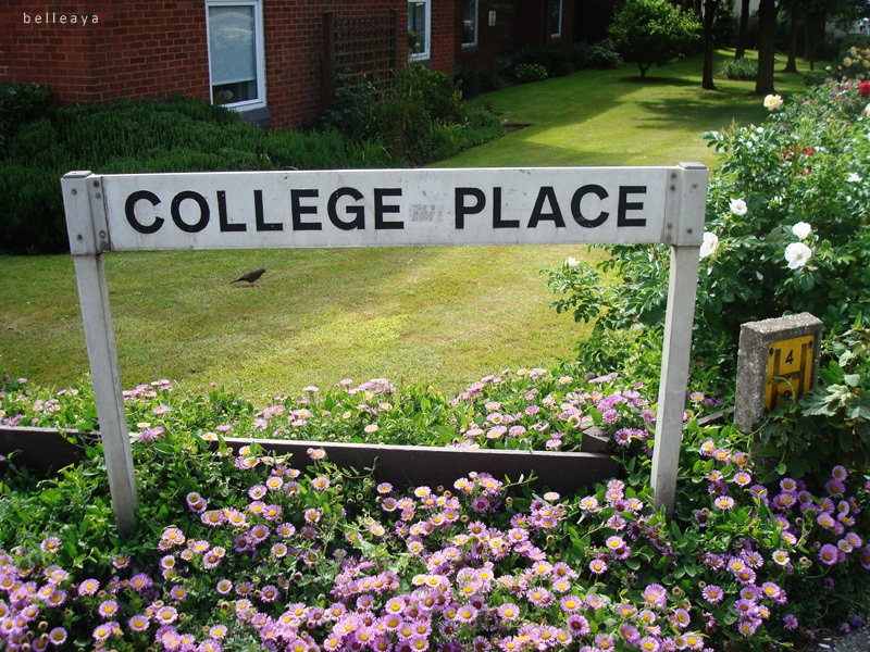 [英國] 布萊頓東方 College Place