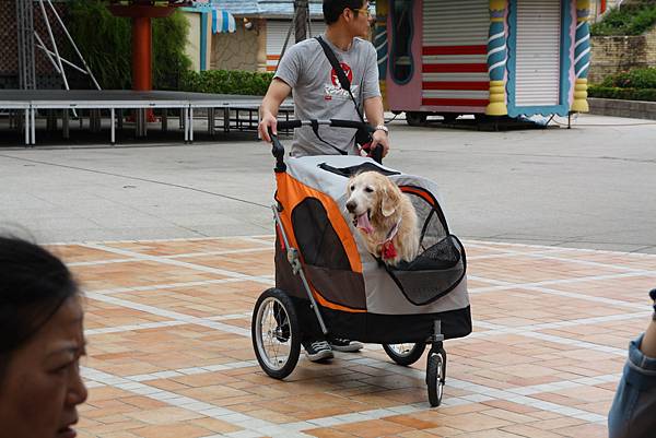 狗狗推車